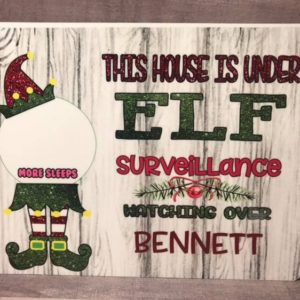 This House is Under Elf Surveillance