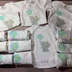 boy monthly onesies