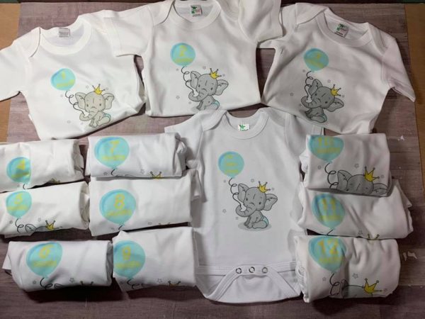boy monthly onesies