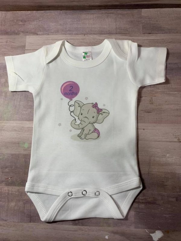 girls monthly onesies